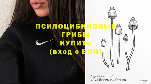 мяу мяу мука Лагань