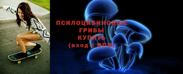 трава Кулебаки