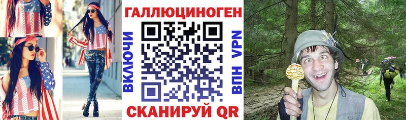 Купить где  Олонец  Галлюциногенные грибы Psilocybe 